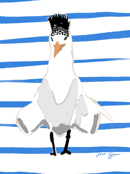 Prince Waylon - Royal Tern