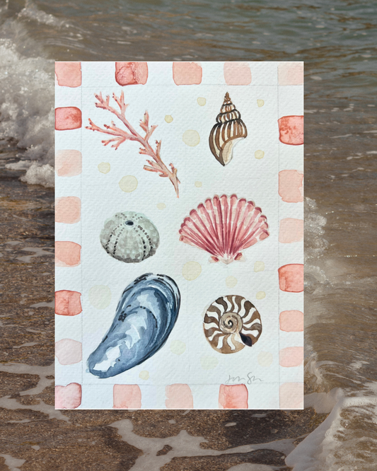 Seaside Study